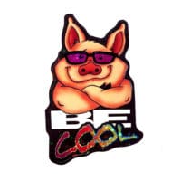 Bulk Stickers – Be Cool